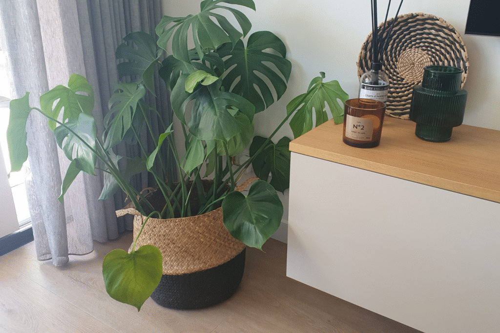 Sfeerimpressie Annemieke Ruwaard